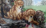img_20201207_1839313